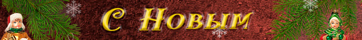 С Новым 2025 годом!